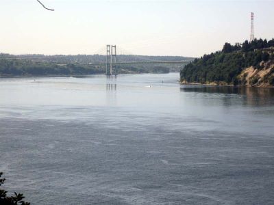 IMG_0665.jpg