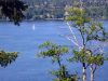 IMG_0676.jpg
