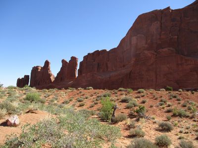 IMG_0341.jpg