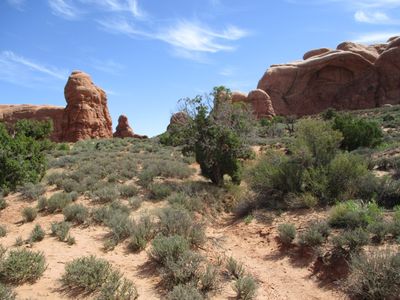 IMG_0407.jpg