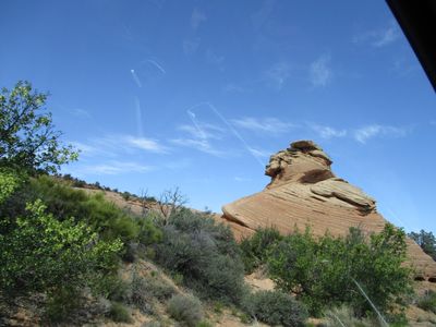 IMG_0429.jpg