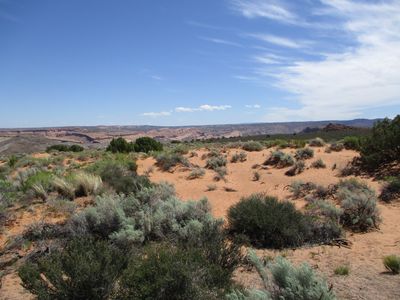 IMG_0440.jpg