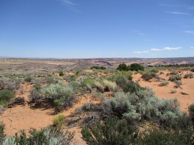 IMG_0441.jpg