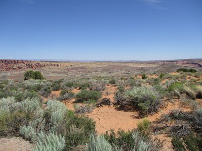 IMG_0442.jpg