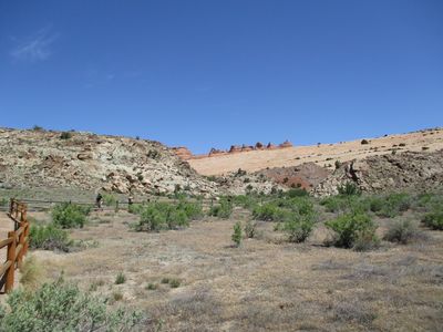 IMG_0445.jpg