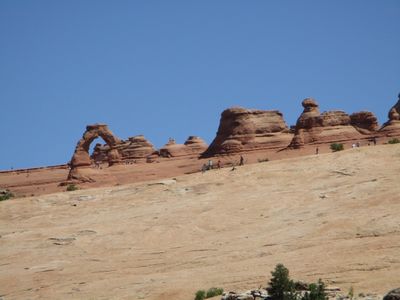 IMG_0446.jpg