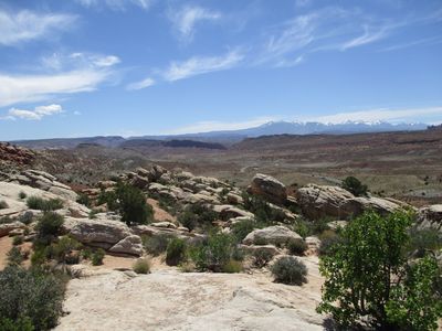 IMG_0450.jpg