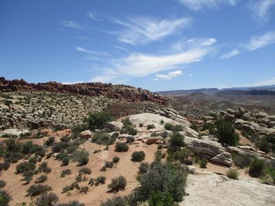 IMG_0452.jpg