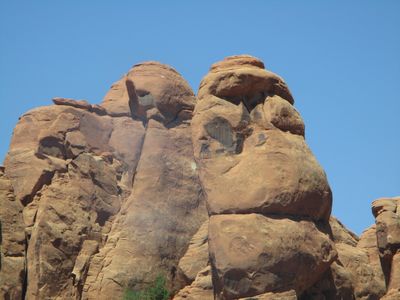 IMG_0456.jpg