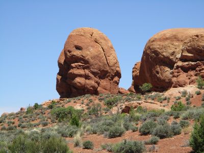 IMG_0470.jpg