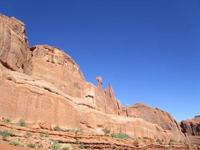 IMG_1306.jpg
