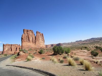 IMG_1310.jpg