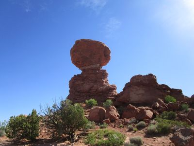 IMG_1318.jpg