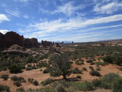 IMG_1319.jpg