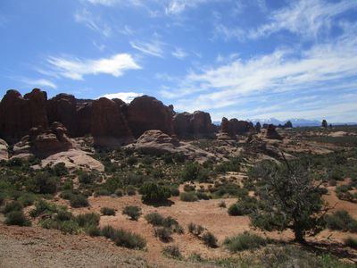 IMG_1320.jpg