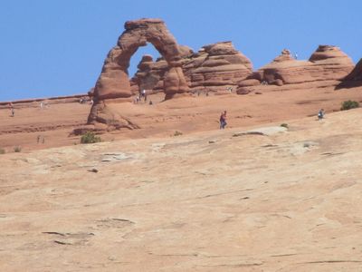IMG_1355.jpg