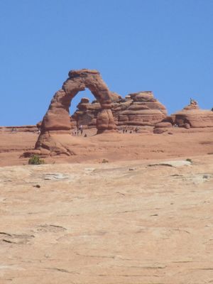 IMG_1356.jpg