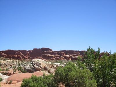 IMG_1358.jpg