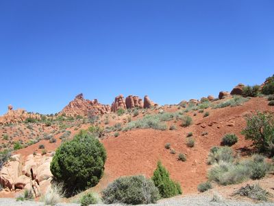 IMG_1359.jpg