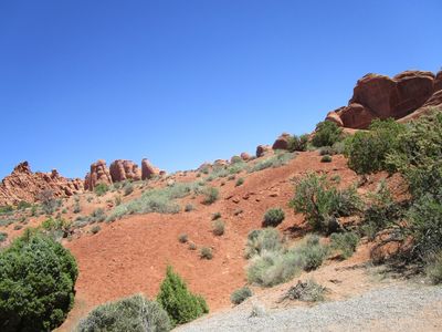 IMG_1360.jpg