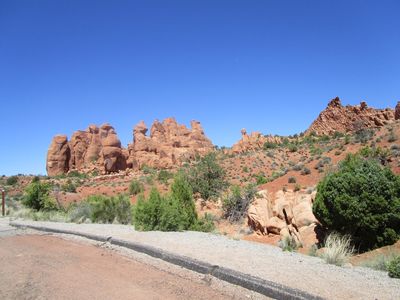 IMG_1361.jpg