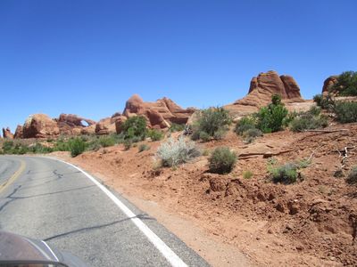 IMG_1365.jpg