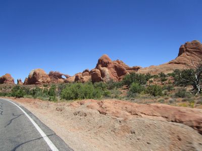 IMG_1366.jpg