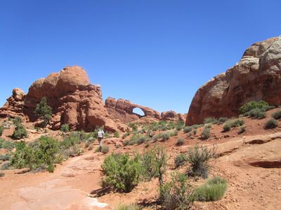 IMG_1367.jpg