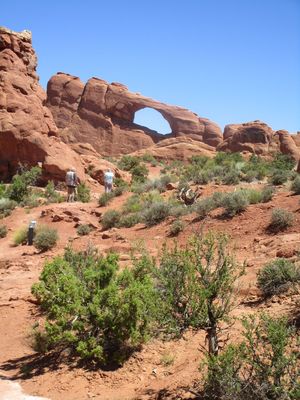 IMG_1369.jpg