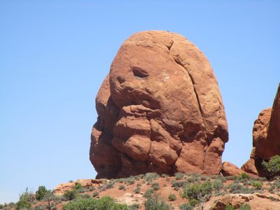 IMG_1373.jpg