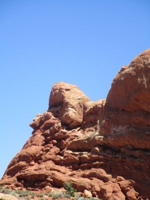 IMG_1374.jpg