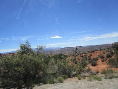 IMG_1401.jpg