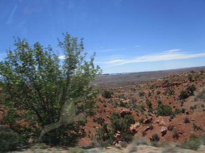 IMG_1402.jpg