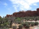 IMG_0379.jpg