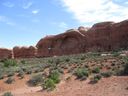 IMG_0385.jpg