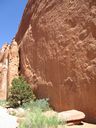 IMG_0477.jpg