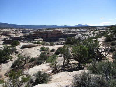 IMG_0667.jpg