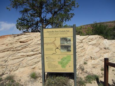 IMG_0668.jpg