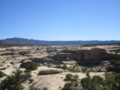 IMG_1501.jpg