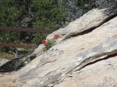 IMG_1506.jpg