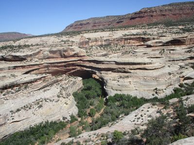 IMG_1509.jpg