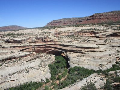 IMG_1511.jpg