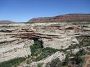 IMG_0679.jpg