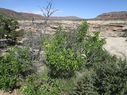IMG_1505.jpg