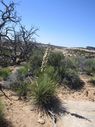 IMG_1508.jpg
