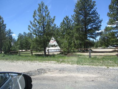 IMG_0094.jpg