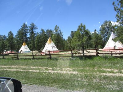 IMG_0095.jpg