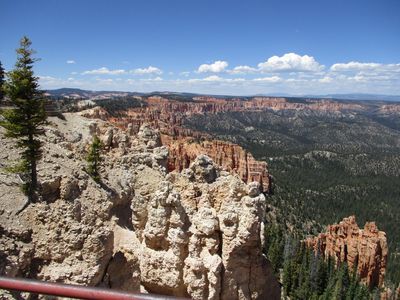 IMG_0100.jpg