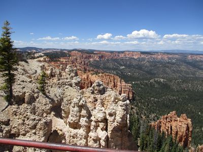 IMG_0103.jpg