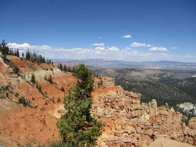 IMG_0116.jpg